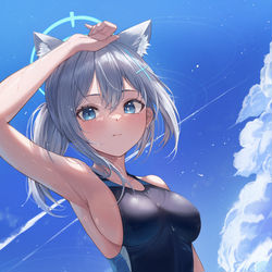This is a pixiv picture whose title is シロコ (水).