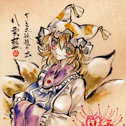 This is a pixiv picture whose title is 八雲藍.