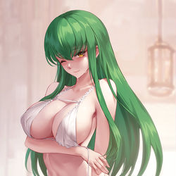 This is a pixiv picture whose title is C.C..