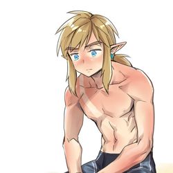 This is a pixiv picture whose title is 日焼けに失敗したリンク.