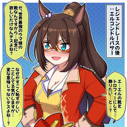 This is a pixiv picture whose title is レジェンドレースの後：エルコンドルパサー.