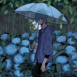 This is a pixiv picture whose title is 梅雨.