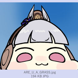 This is a pixiv picture whose title is ゴールドシップ.