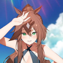 This is a pixiv picture whose title is 流星.
