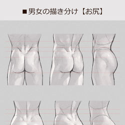 This is a pixiv picture whose title is 男女の描き分け【お尻】.