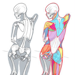 This is a pixiv picture whose title is 女性の背中　練習.