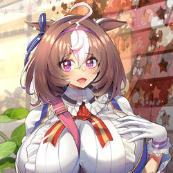 This is a pixiv picture whose title is ドトウさん.