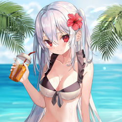 This is a pixiv picture whose title is 白髪彼女.