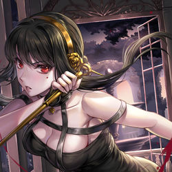 This is a pixiv picture whose title is ヨルフォージャー.