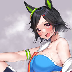 This is a pixiv picture whose title is ウイニングチケット.
