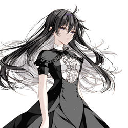 This is a pixiv picture whose title is 【C100】Akemi Homura Illustration.