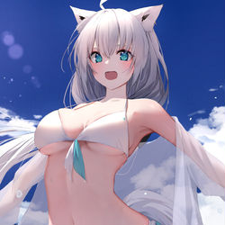 This is a pixiv picture whose title is フブちゃんサマー💙.