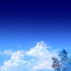 This is a pixiv picture whose title is BIG WAVEを待つ午后.