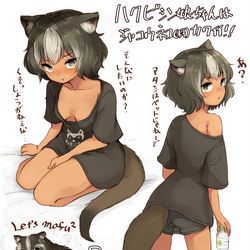 This is a pixiv picture whose title is ハクビシン娘ちゃんまとめ.