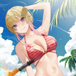 This is a pixiv picture whose title is 夏が来た.