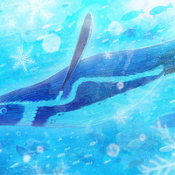 This is a pixiv picture whose title is 海の中のキラキラ.