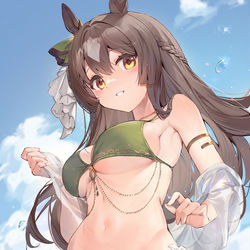 This is a pixiv picture whose title is 水着ダイヤちゃん.