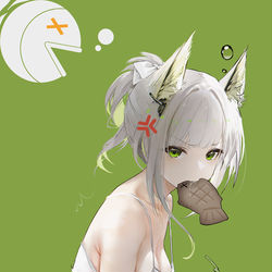 This is a pixiv picture whose title is 炸 毛.