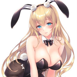 This is a pixiv picture whose title is バニーノースカロライナ.