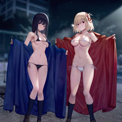 This is a pixiv picture whose title is 二人の夜遊び.