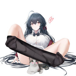 This is a pixiv picture whose title is 大凤.