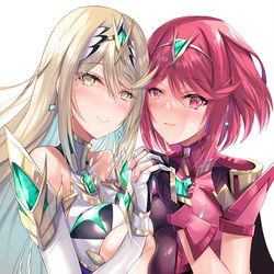 This is a pixiv picture whose title is C100新刊用ホムヒカ.