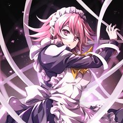 This is a pixiv picture whose title is 万条の仕手.