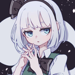 This is a pixiv picture whose title is 妖夢の日.