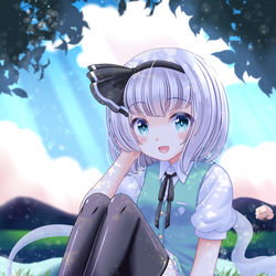 This is a pixiv picture whose title is 妖夢「お隣座ってもよろしいですか？」.