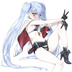 This is a pixiv picture whose title is ルリ.