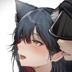 This is a pixiv picture whose title is テキサス.