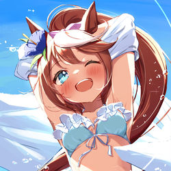 This is a pixiv picture whose title is 水着テイオー！②.