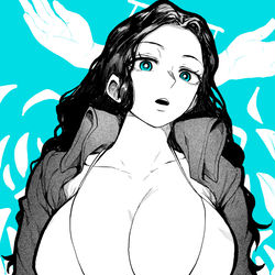 This is a pixiv picture whose title is ロビン　２.