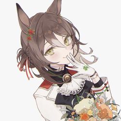 This is a pixiv picture whose title is ファインモーション.