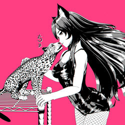 This is a pixiv picture whose title is 鼻キス💋🐈.