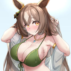 This is a pixiv picture whose title is 水着サトノさん.