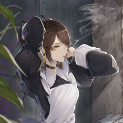 This is a pixiv picture whose title is maid.