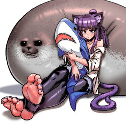 This is a pixiv picture whose title is 委託貓娘.