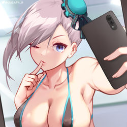 This is a pixiv picture whose title is Musashi selfie.
