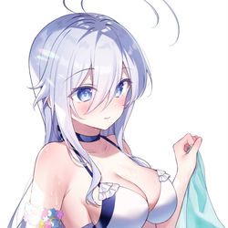 This is a pixiv picture whose title is 水着レーナ.