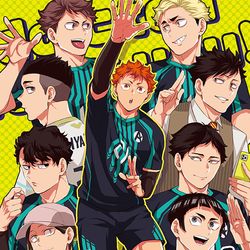 This is a pixiv picture whose title is 【8/21大阪】AB日向本【SUPER‗RTS!!2022】.