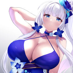 This is a pixiv picture whose title is イラストリアス65.
