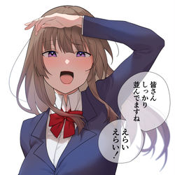 This is a pixiv picture whose title is 服装検査を見守る生徒会長.