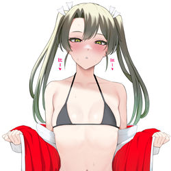 This is a pixiv picture whose title is 発情瑞鶴.