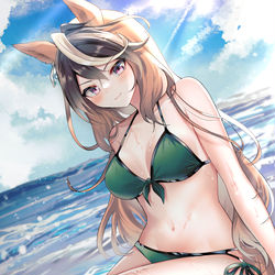 This is a pixiv picture whose title is 水着ルドルフ.