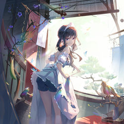 This is a pixiv picture whose title is 平角裤平角裤！.