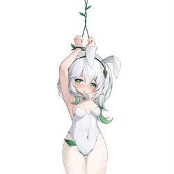 This is a pixiv picture whose title is しろバニㄧ~ナヒーダ.