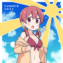 This is a pixiv picture whose title is 暑中お見舞2022.