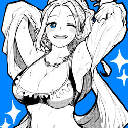 This is a pixiv picture whose title is ビビ　２.