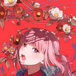 This is a pixiv picture whose title is 不可解参狂.